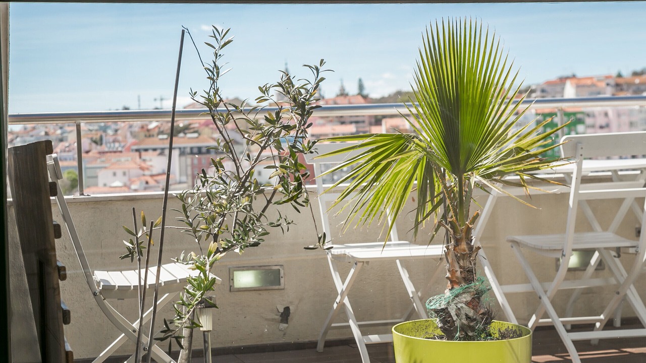 Photo of Outdoor in Sao Bento