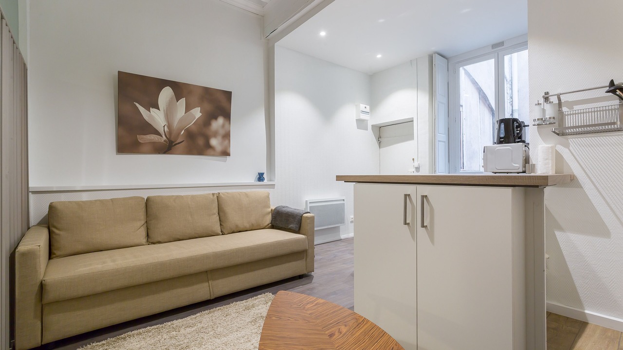Photo of Livingroom in Old Lyon