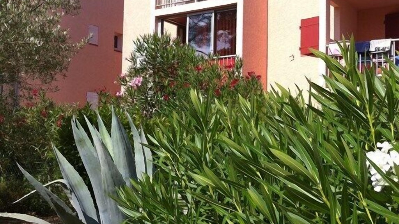 Photo of Outdoor in Saint-Aygulf