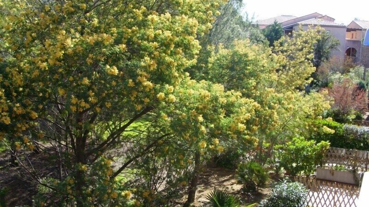 Photo of Outdoor in Saint-Aygulf