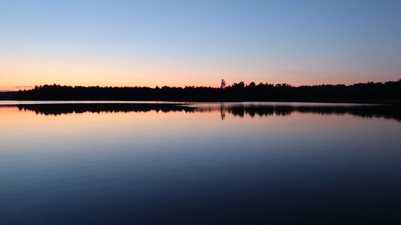 Photo of Others in North Bay