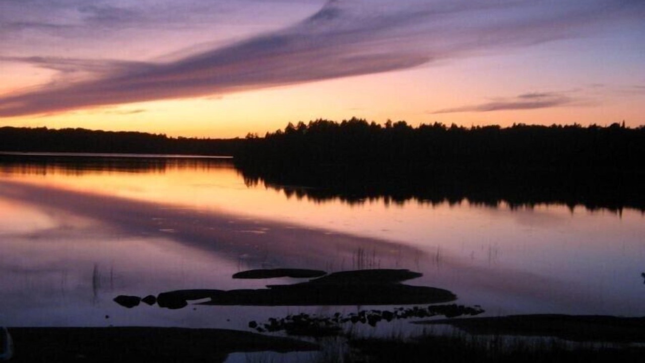 Photo of Others in North Bay
