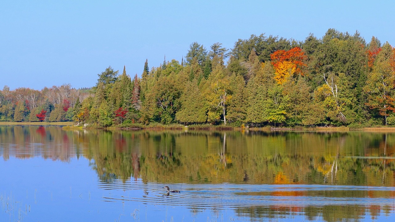 Photo of Others in North Bay