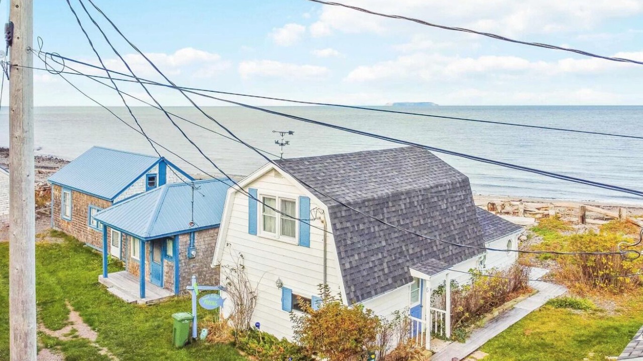 Photo of Outdoor in Harbourville