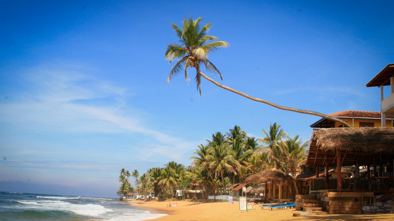 Photo of Others in Hikkaduwa