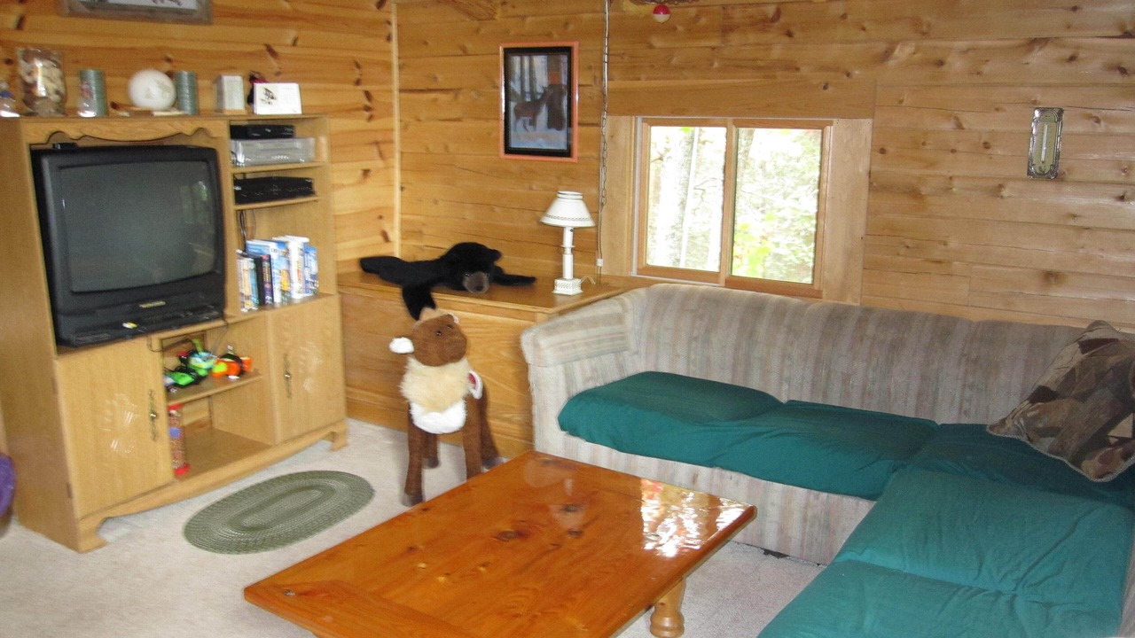 Photo of Livingroom in Munising