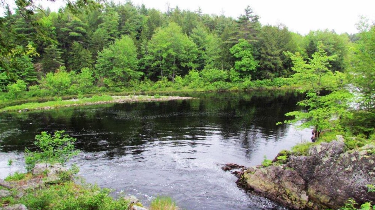 Photo of Outdoor in East Dalhousie