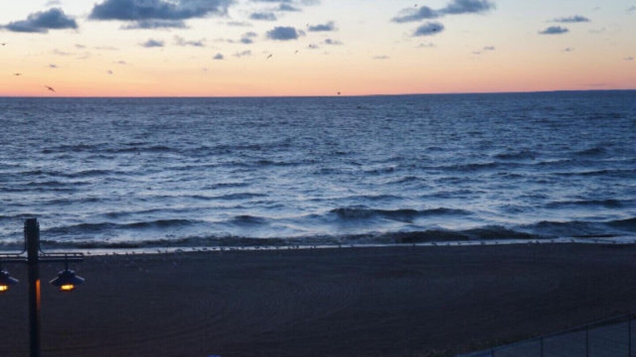 Photo of Others in Gimli