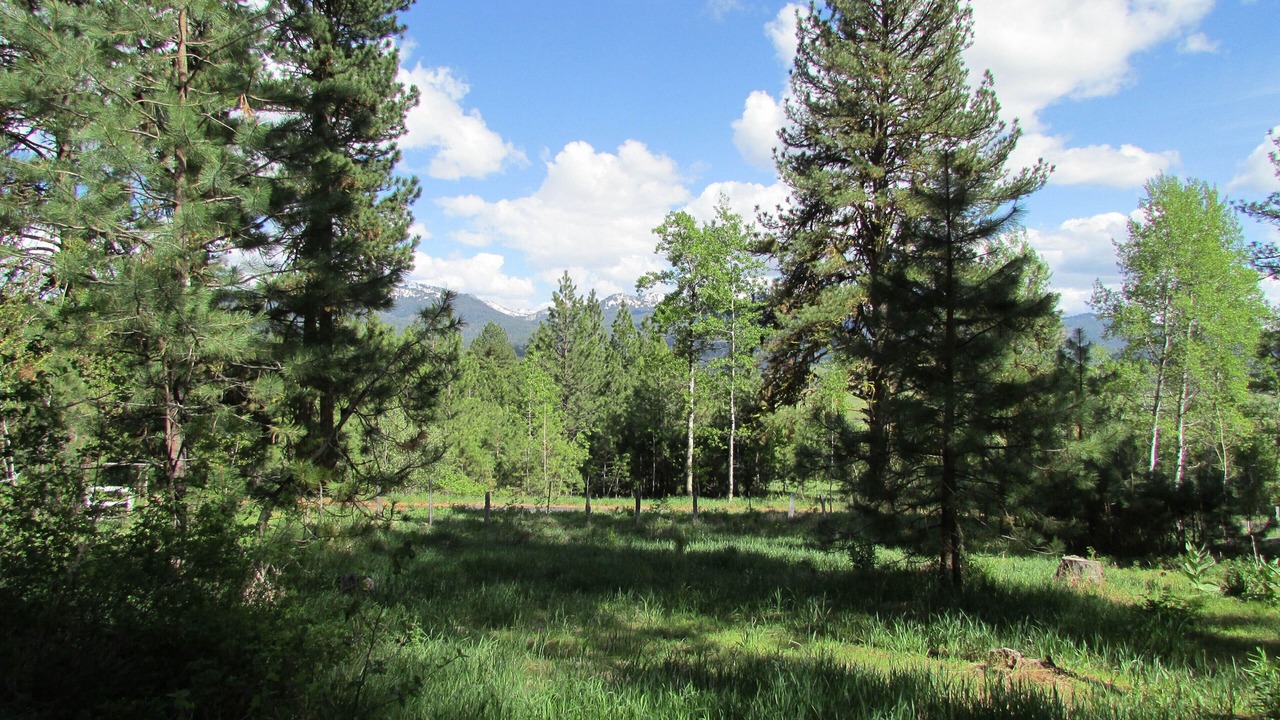 Photo of Outdoor in McCall