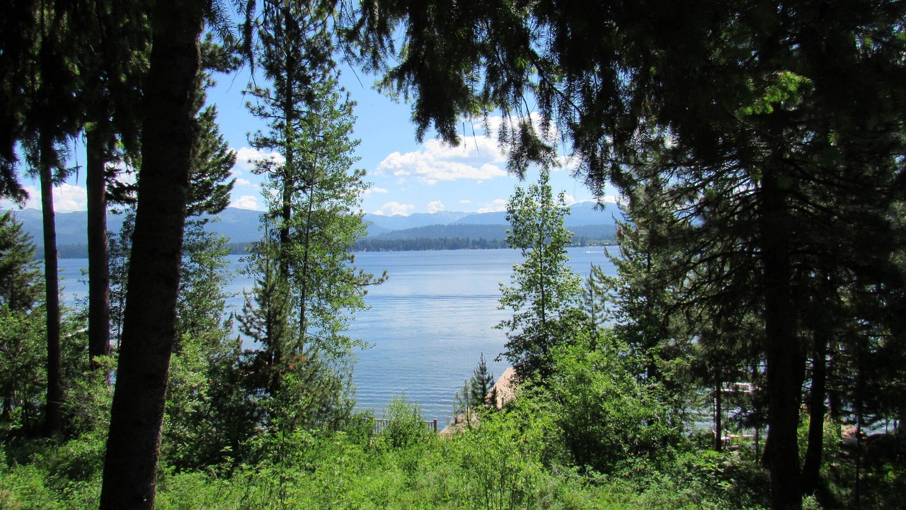 Photo of Outdoor in McCall