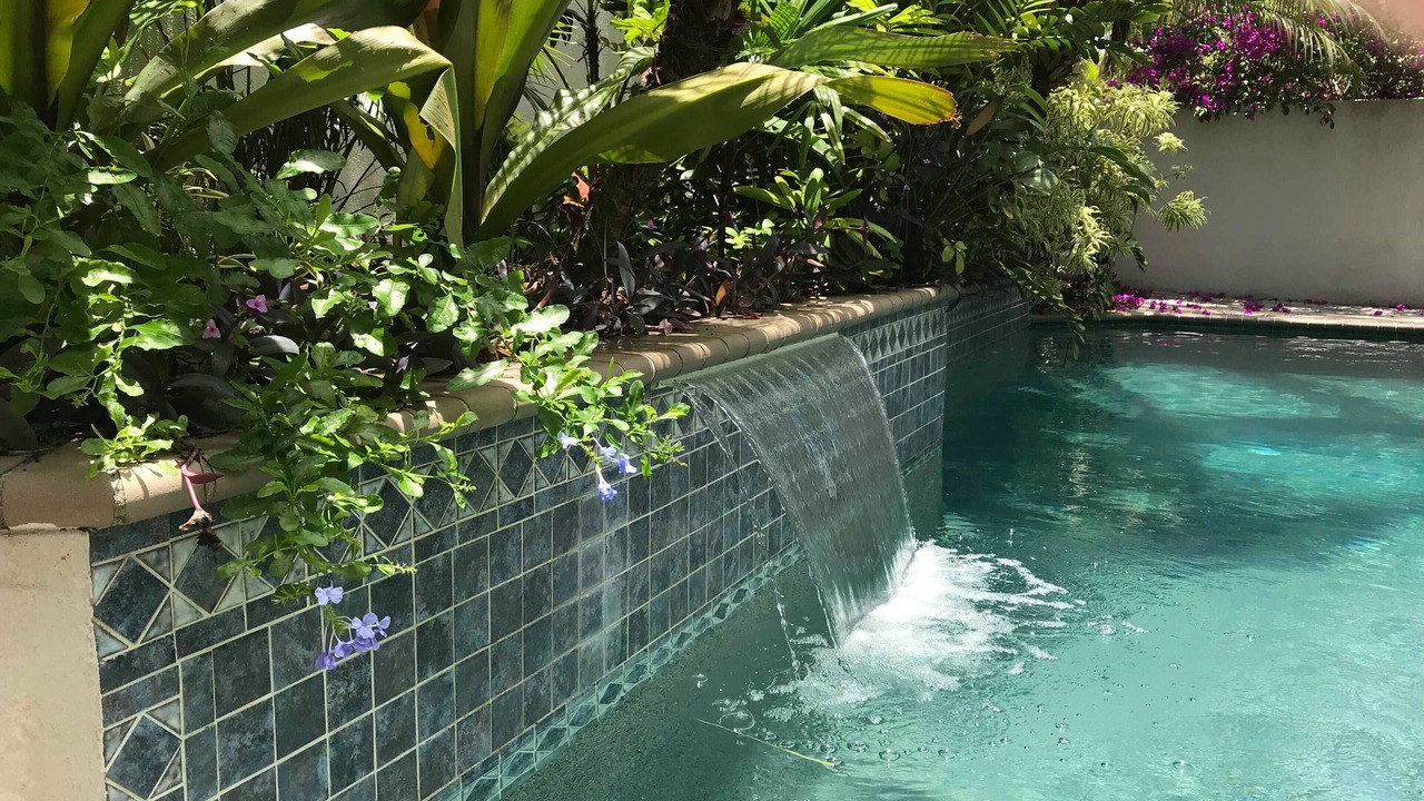 Photo of Outdoor in Sarasota