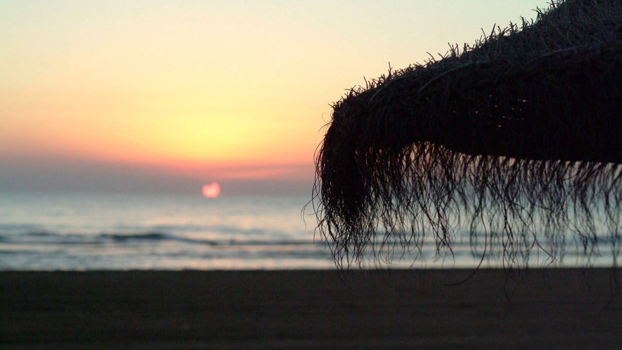 Photo of Others in Grao de Gandia