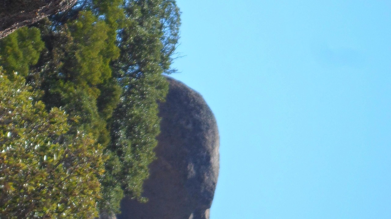 Photo of Others in Monacia-d'Aullene