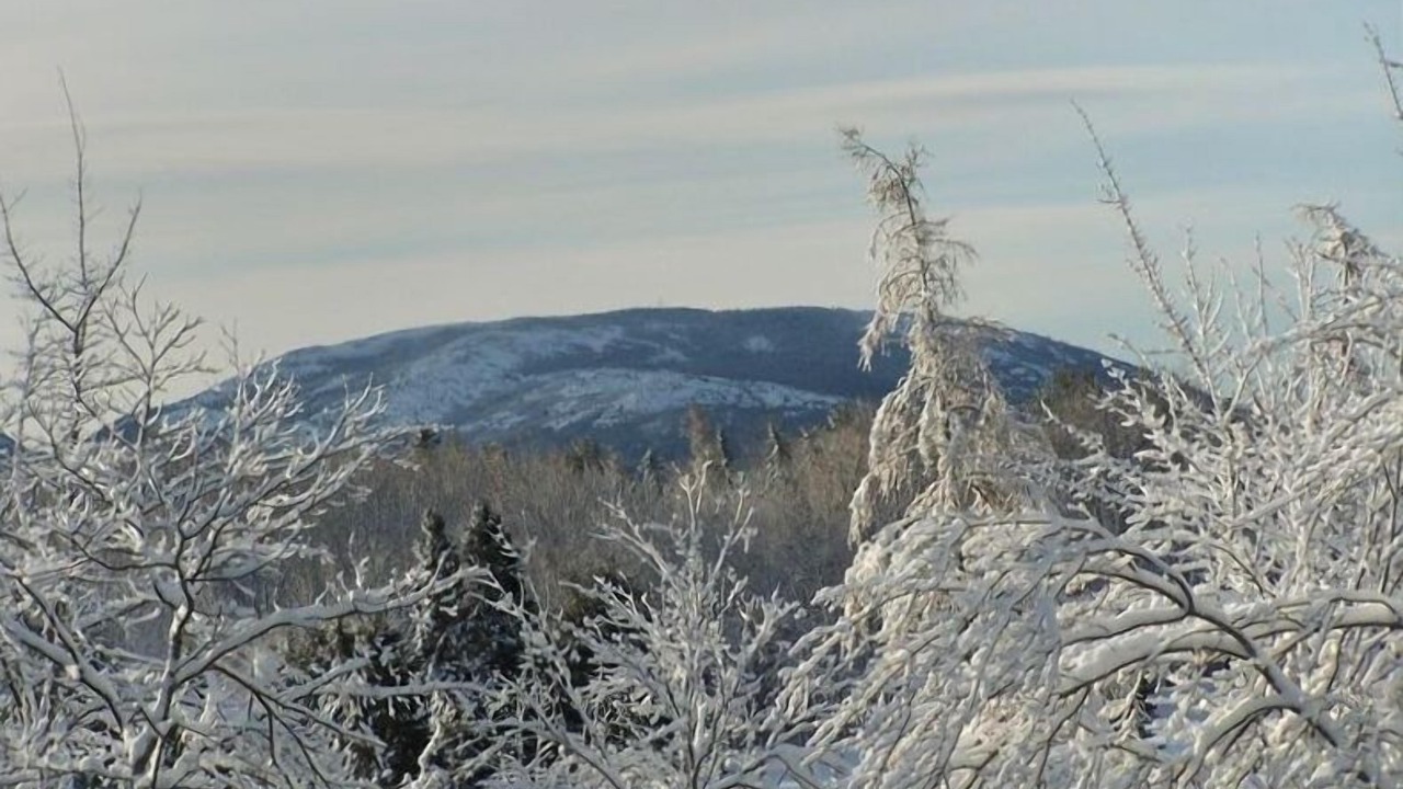 Photo of Others in Bar Harbor