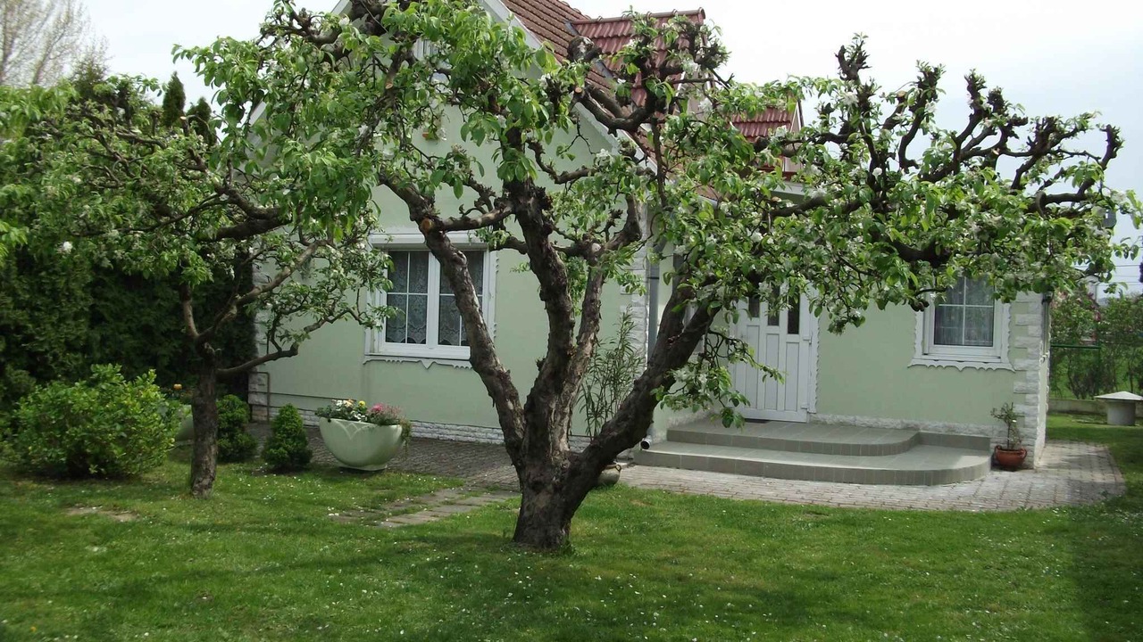 Photo of Others in Balatonlelle