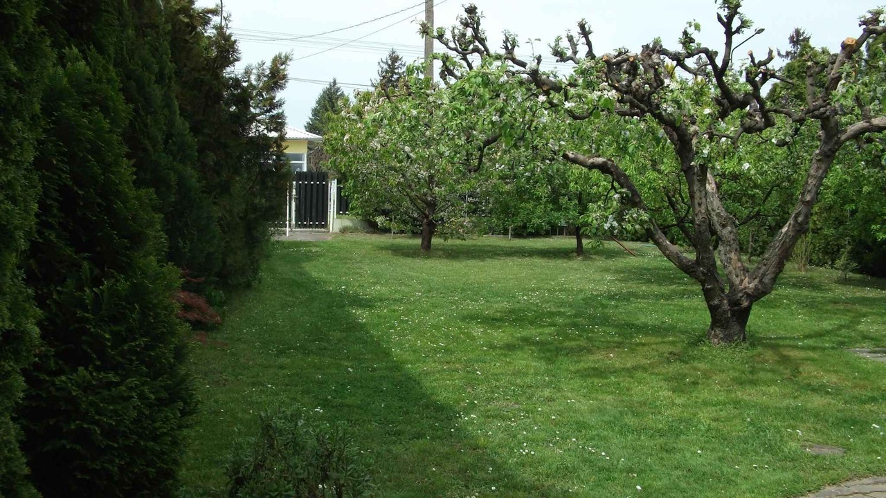 Photo of Outdoor in Balatonlelle