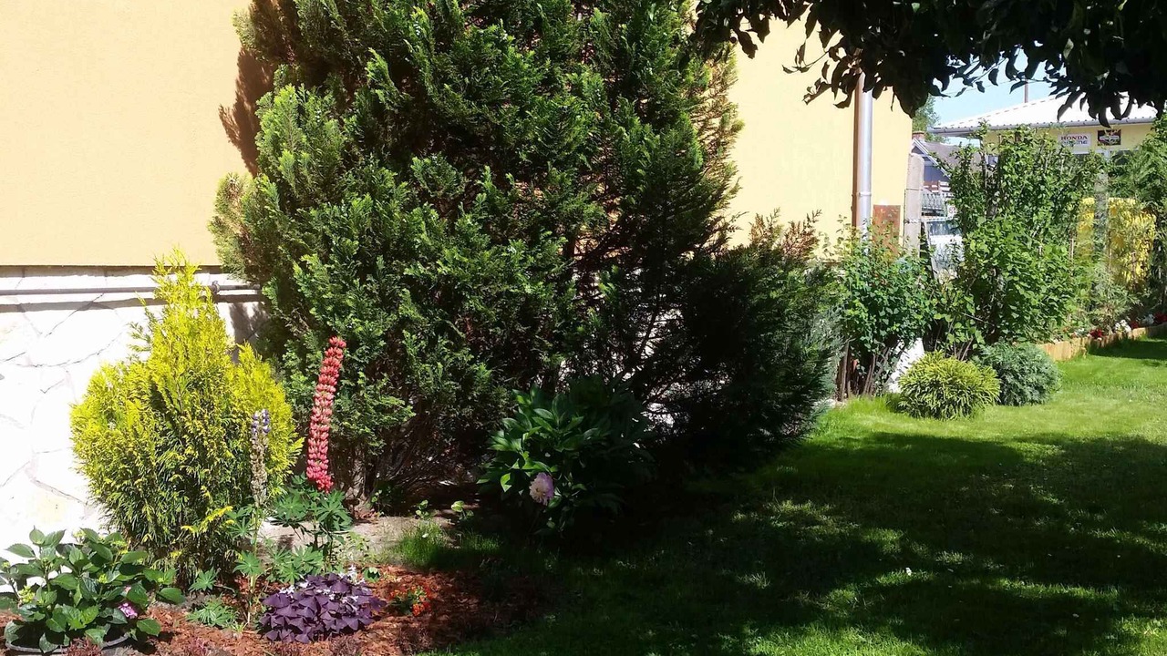 Photo of Outdoor in Balatonlelle