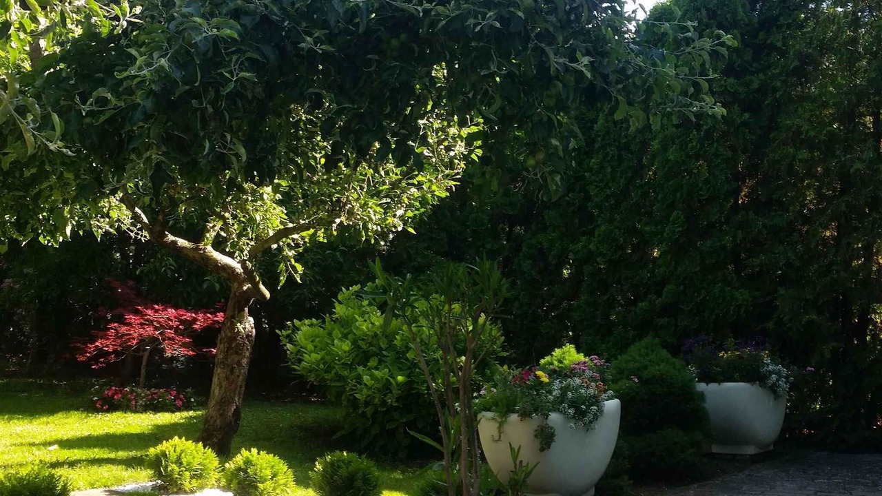Photo of Outdoor in Balatonlelle