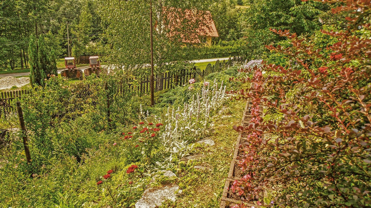 Photo of Others in Jaszczurowa