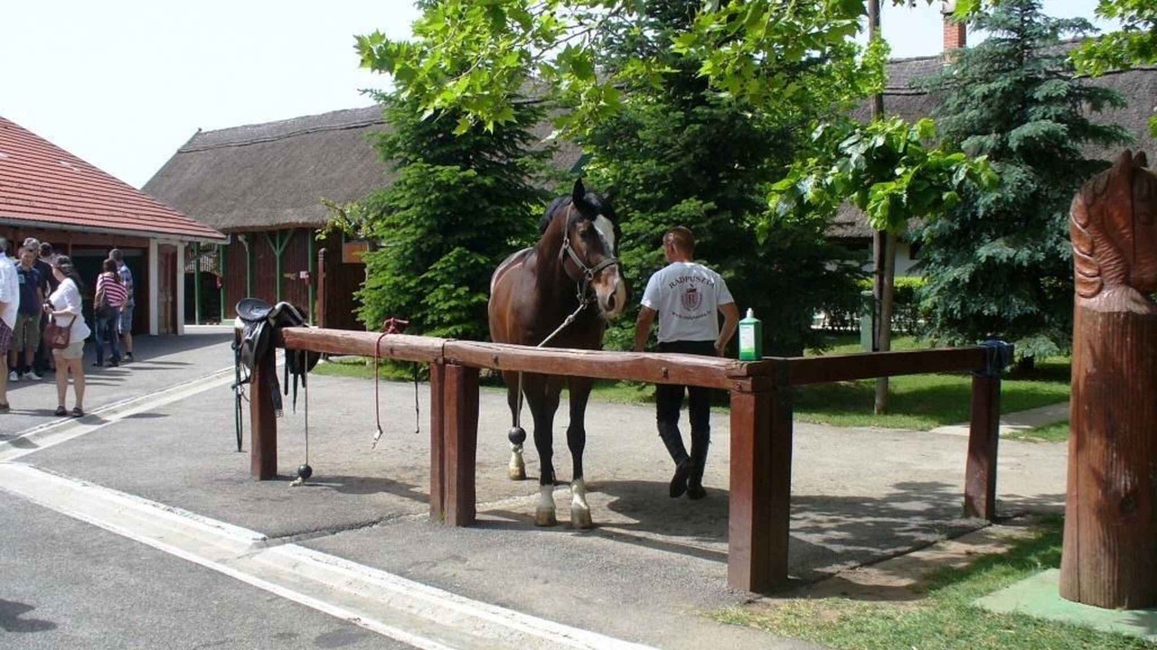 Photo of Outdoor in Balatonboglar