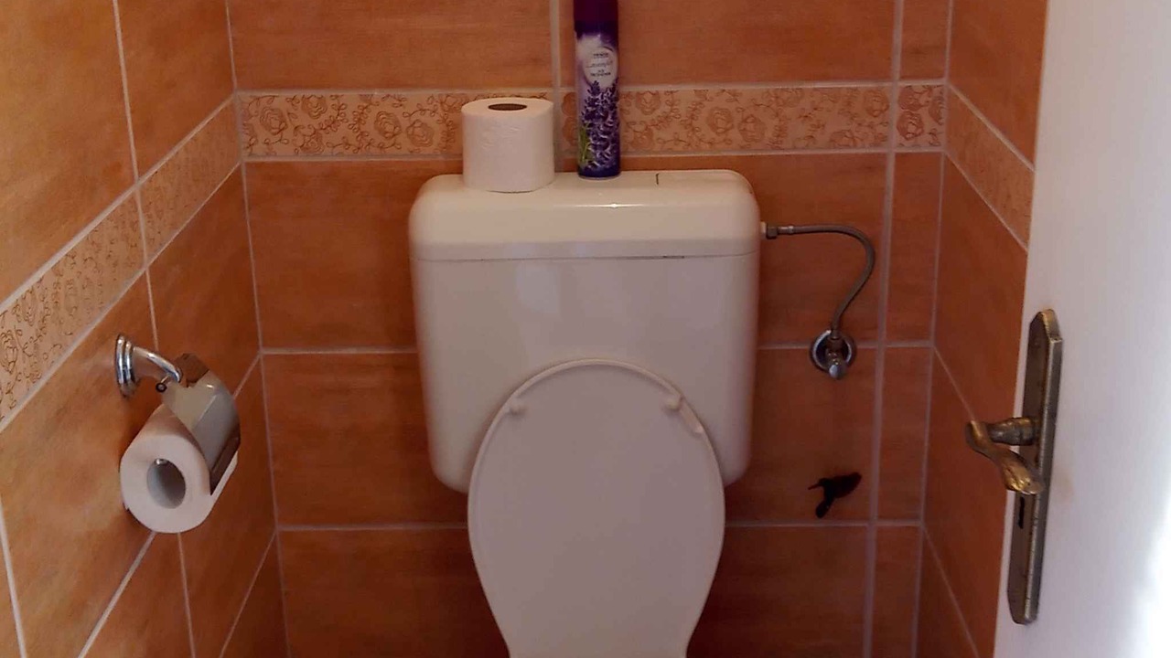 Photo of Bathroom in Balatonbereny