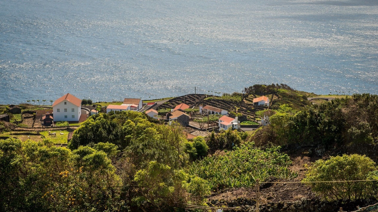 Photo of Outdoor in Calheta de Nesquim