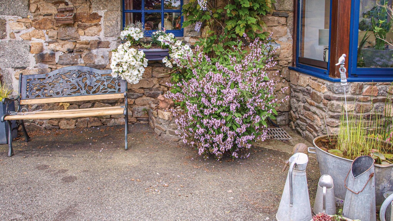 Photo of Others in Begard