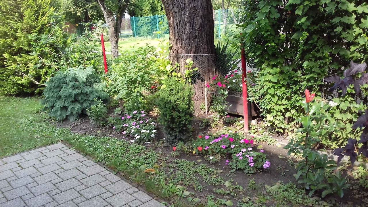 Photo of Outdoor in Balatonfenyves