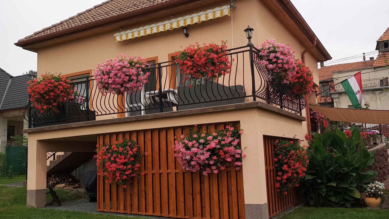 Photo of Outdoor in Balatonfuzfo