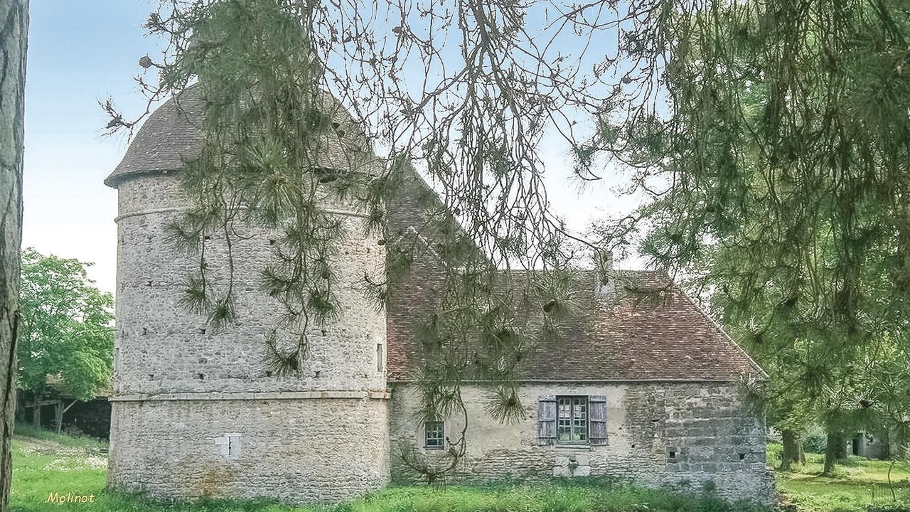 Photo of Others in Molinot