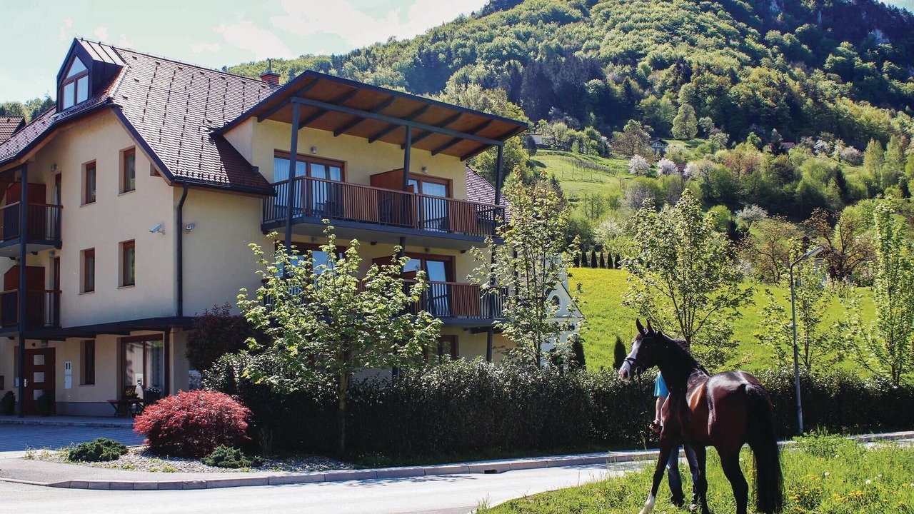 Photo of Others in Lasko
