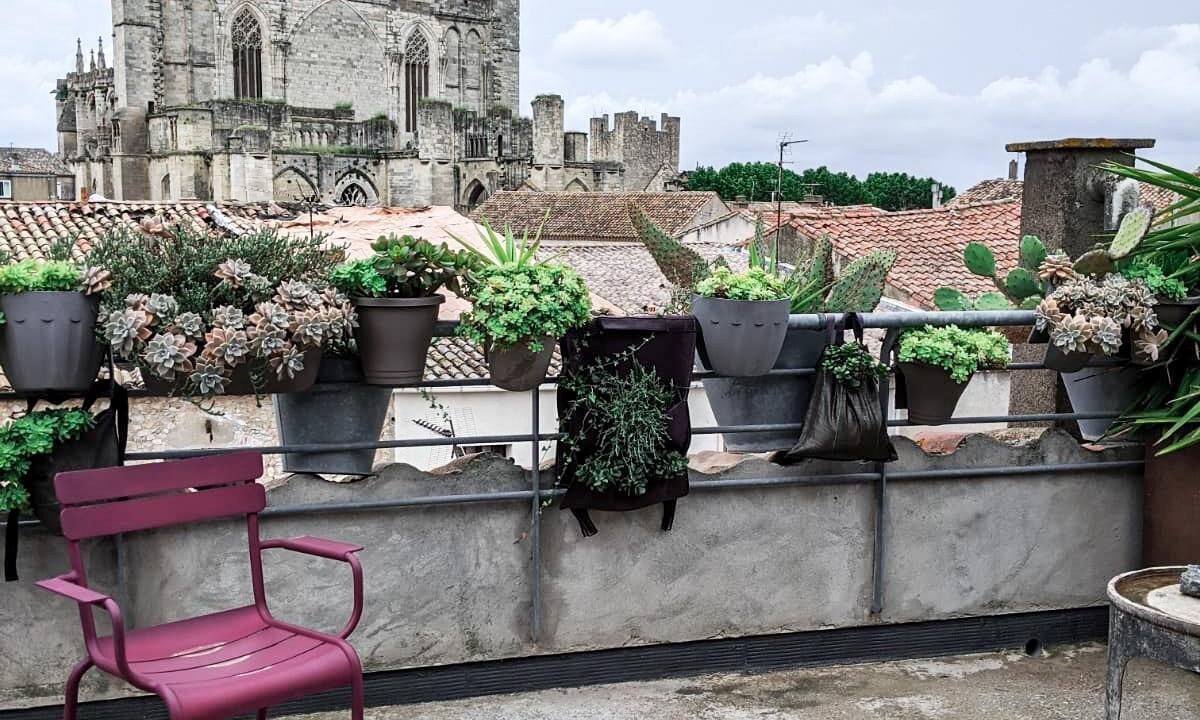 Photo of Outdoor in Cite