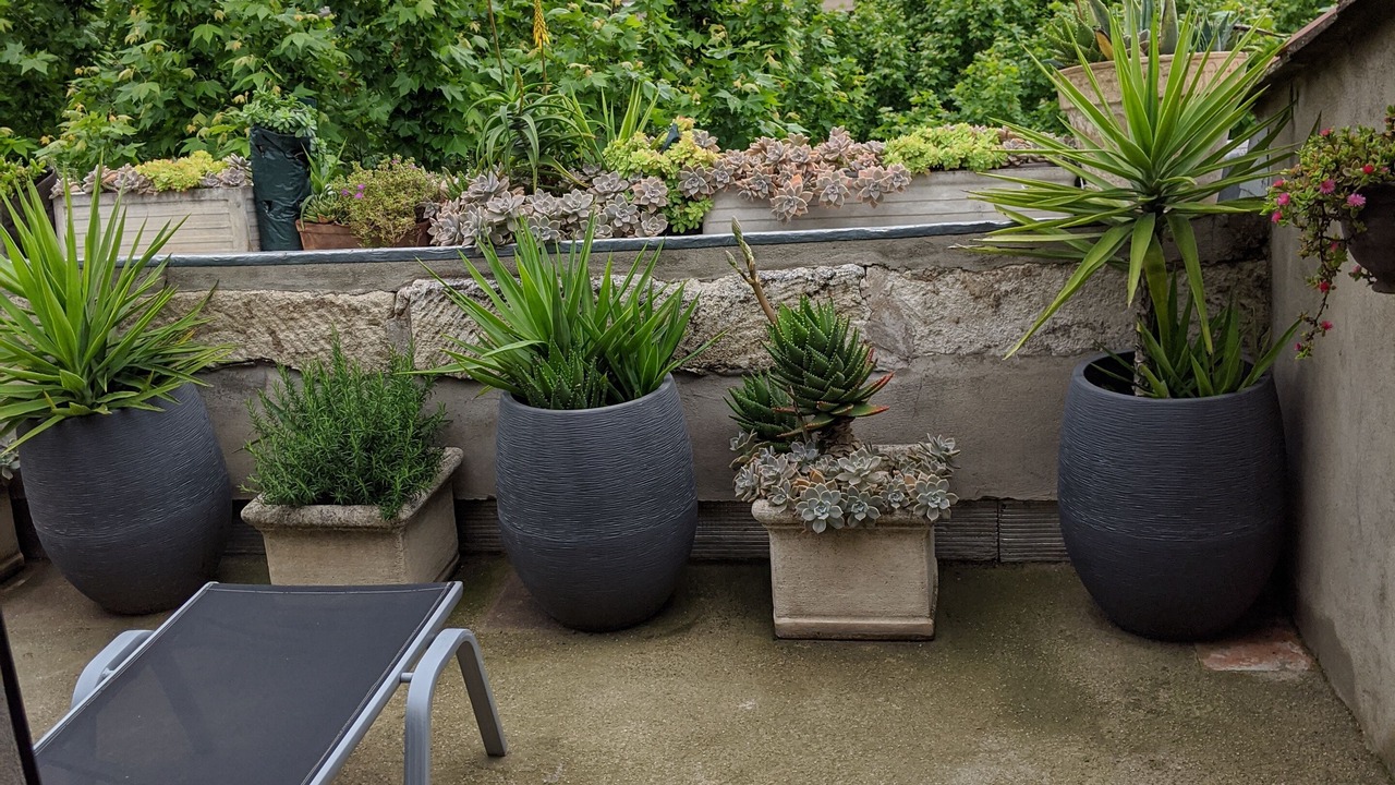 Photo of Patio Balcony in Cite