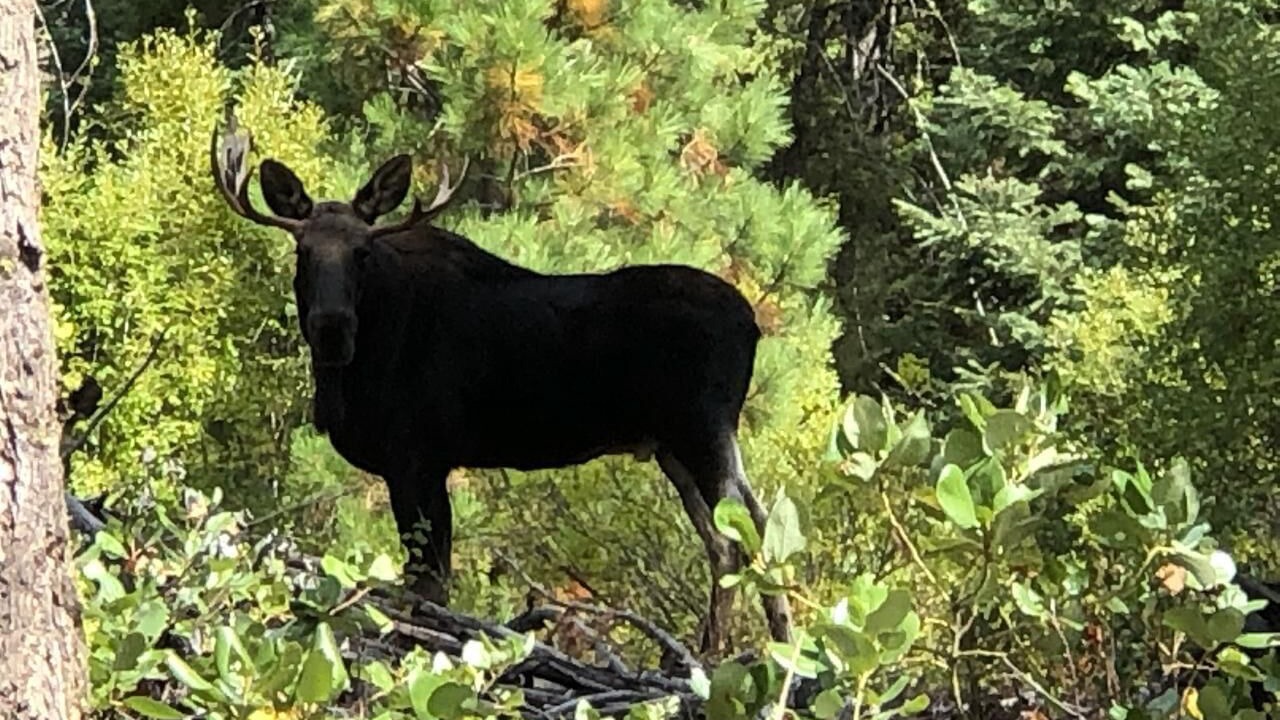 Photo of Others in Cascade