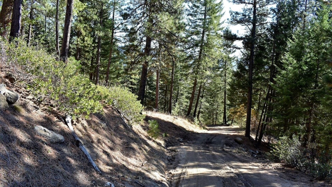 Photo of Others in Cascade