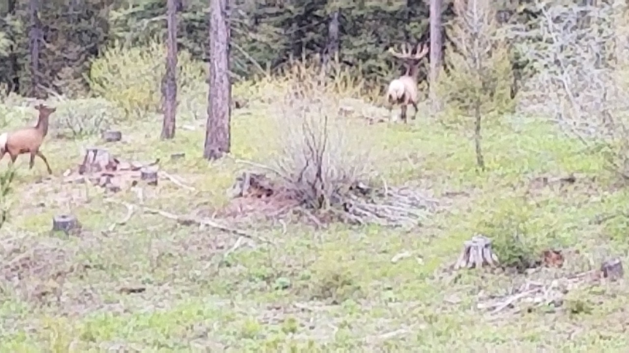 Photo of Others in Cascade