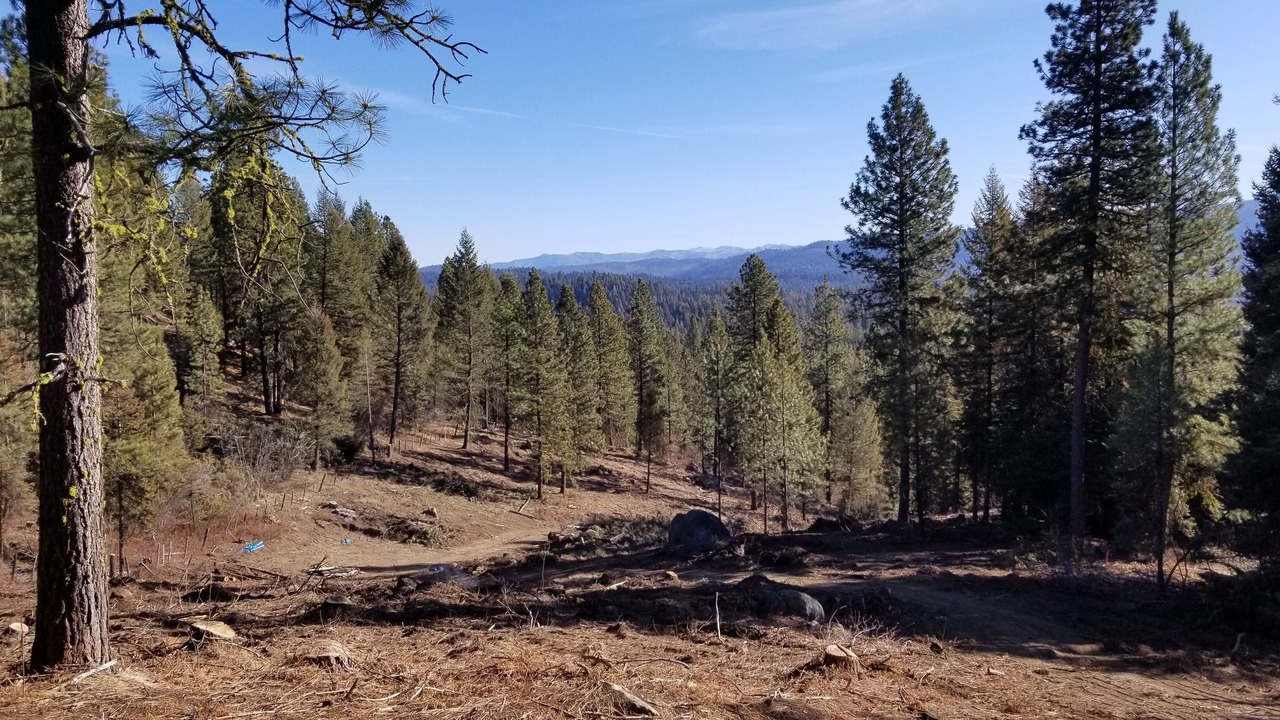 Photo of Others in Cascade