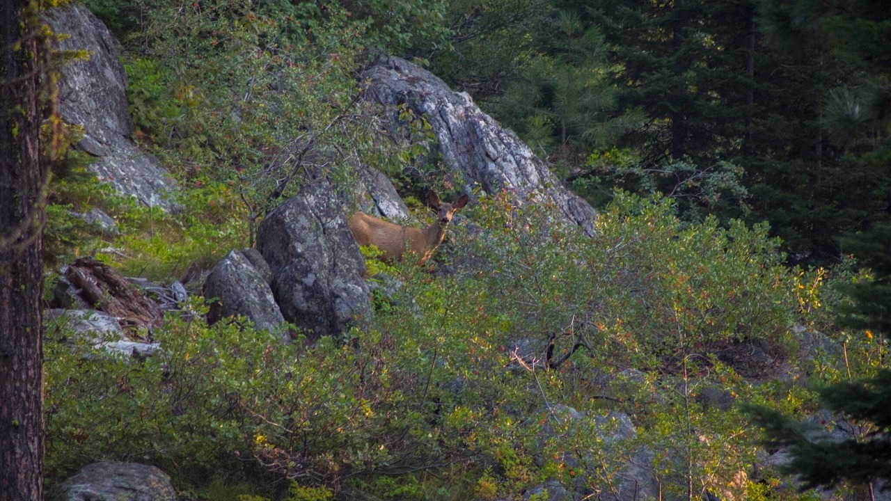 Photo of Others in Cascade