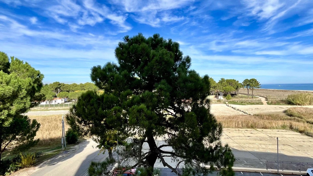 Photo of Others in Argeles Plage