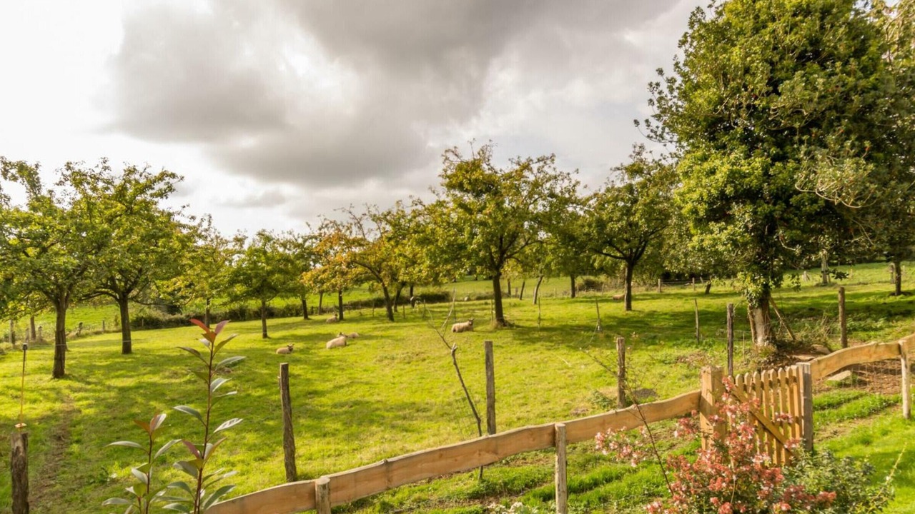 Photo of Outdoor in Montaigu-les-Bois