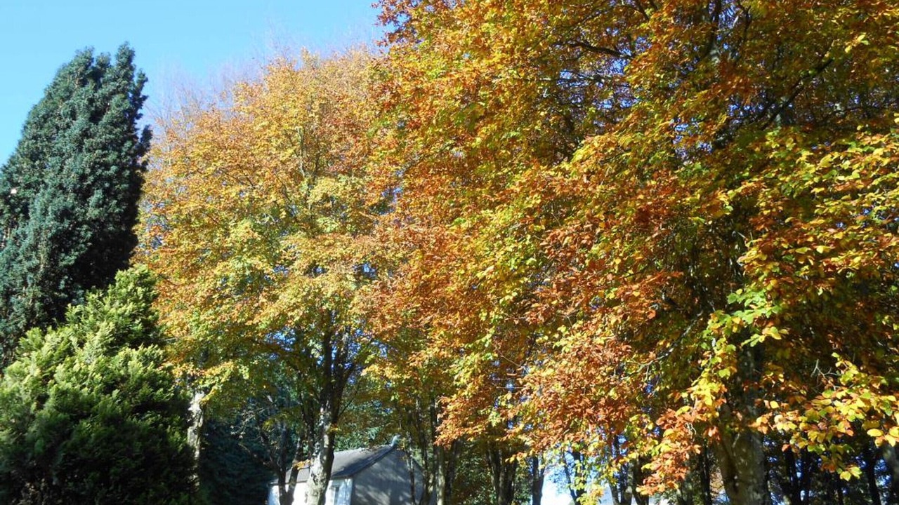 Photo of Outdoor in Percy-en-Normandie