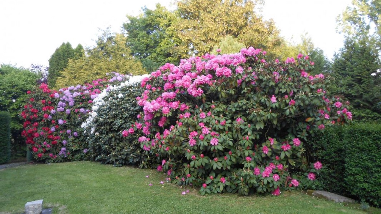 Photo of Outdoor in Percy-en-Normandie