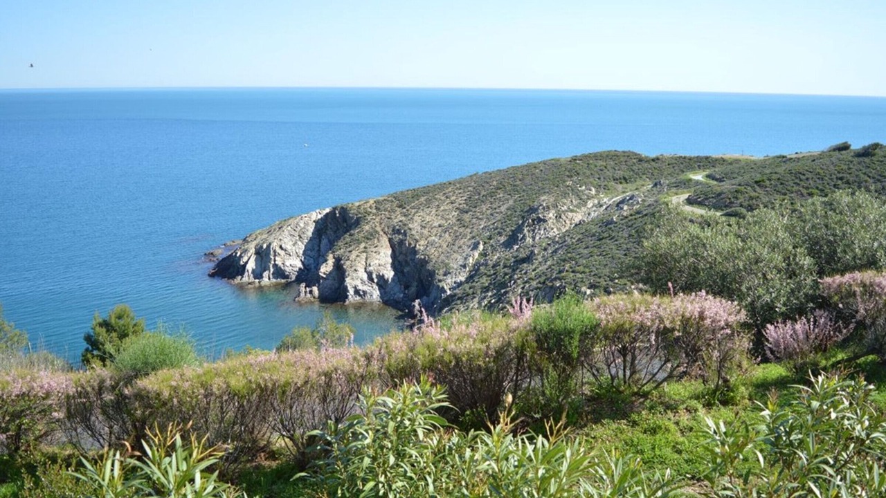 Photo of Others in Banyuls-sur-Mer