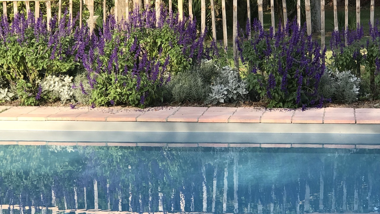 Photo of Outdoor in Azas