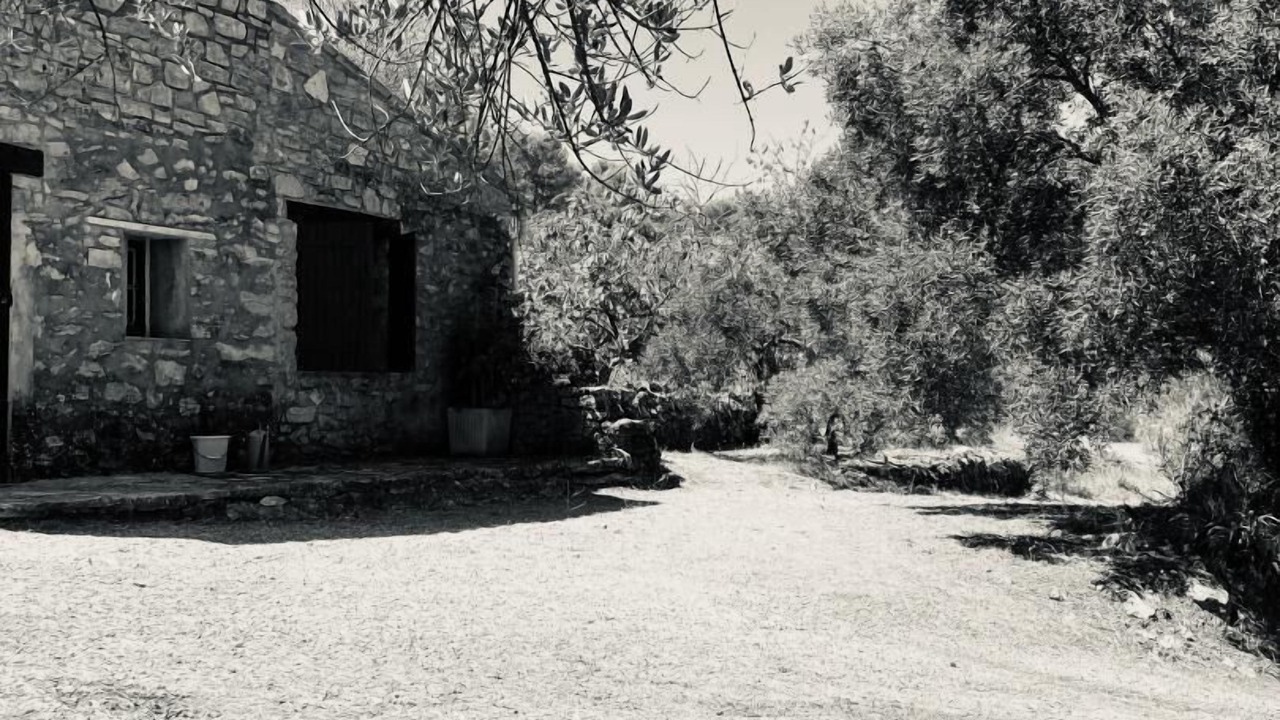 Photo of Outdoor in Lorgues