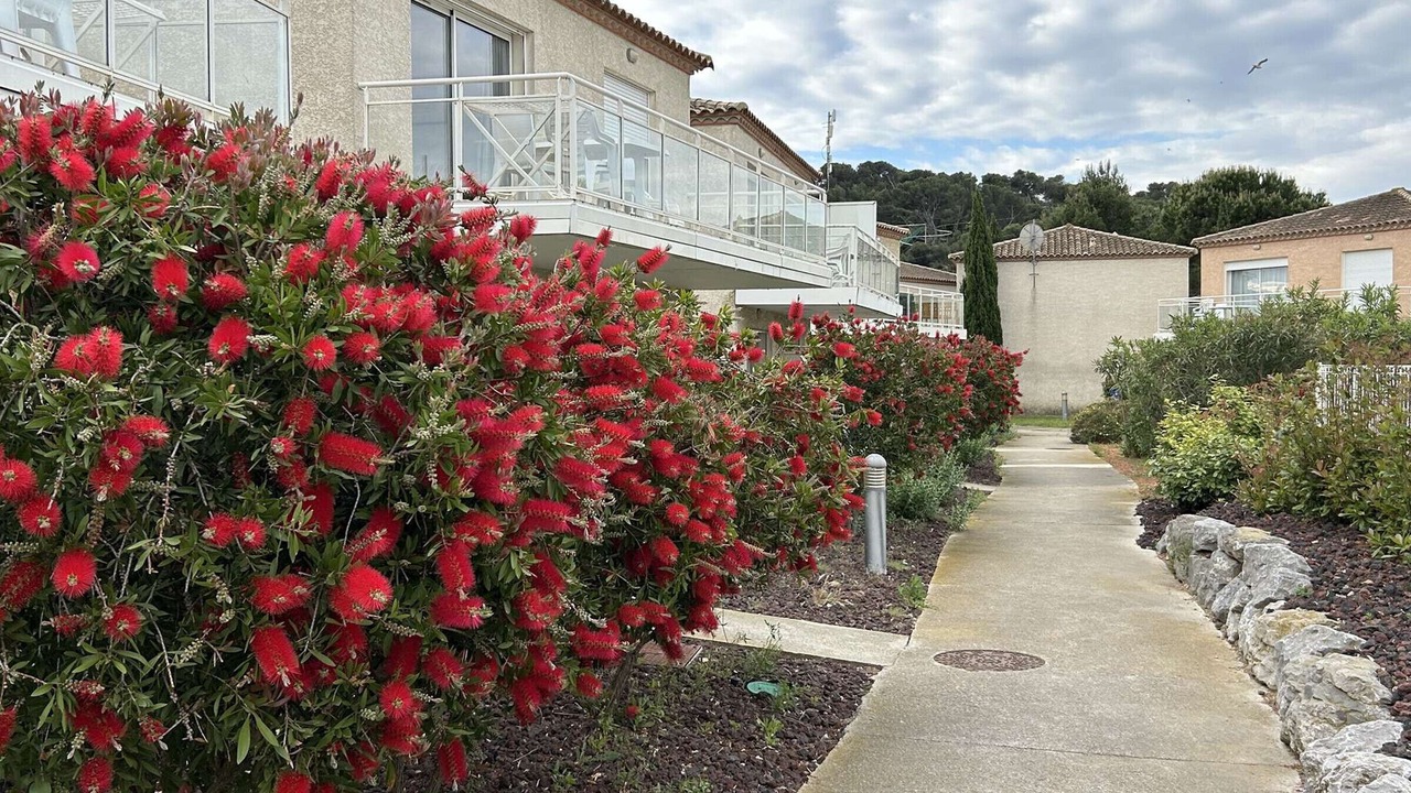 Photo of Outdoor in Gruissan