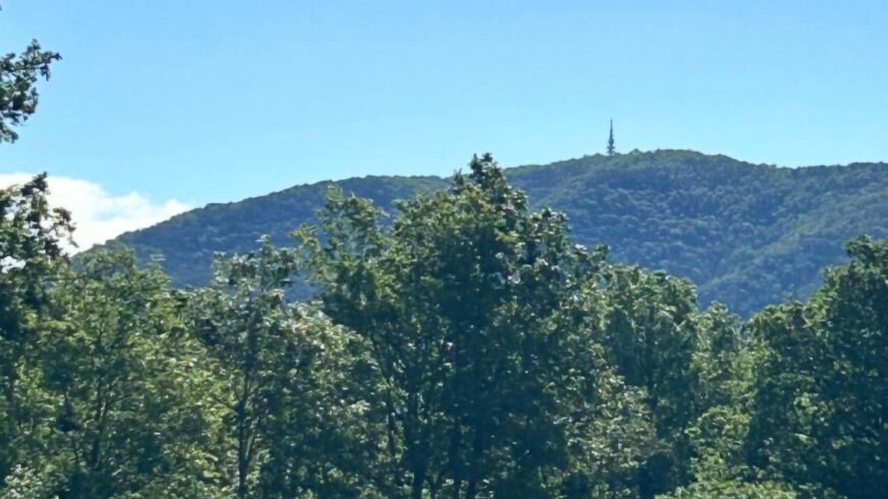 Photo of Others in Pignans