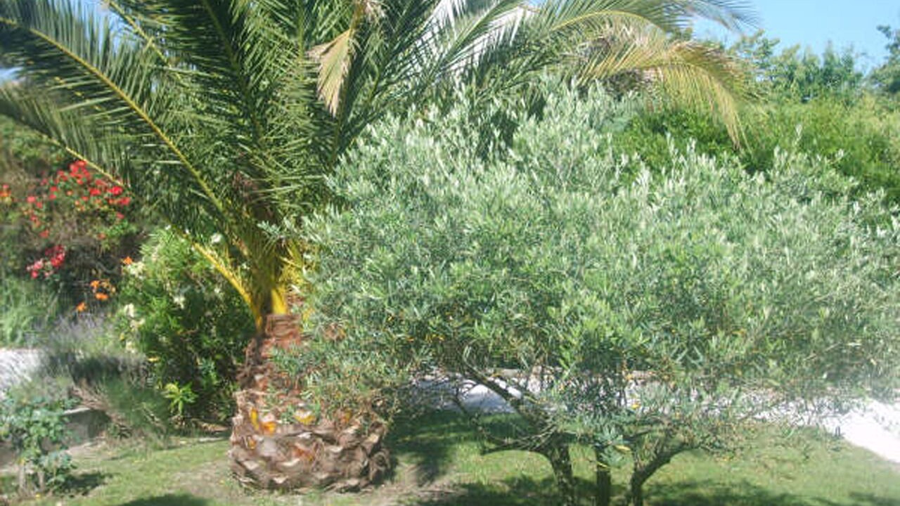 Photo of Outdoor in Pignans