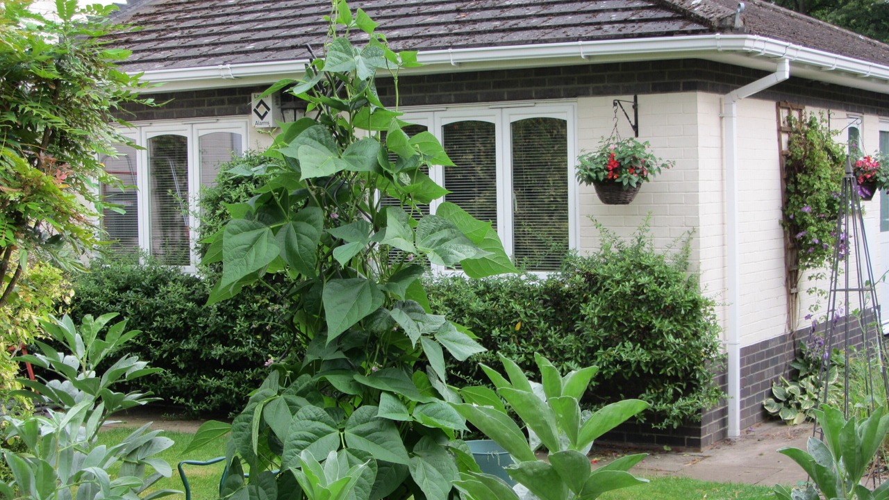Photo of Outdoor in Runnymede