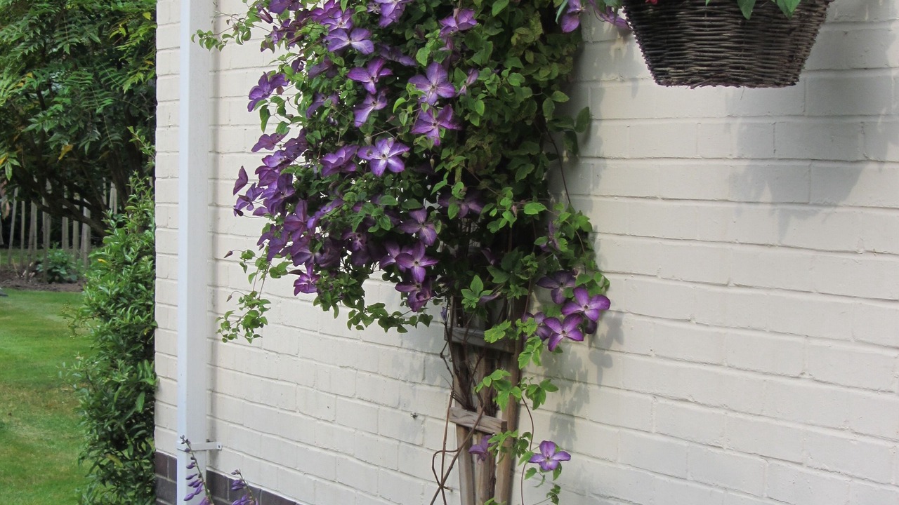 Photo of Outdoor in Runnymede